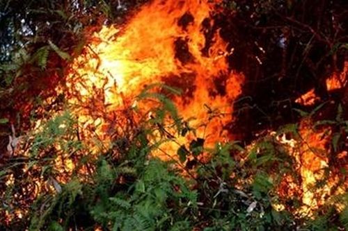 Tiếng khóc xé lòng tiếc thương người phụ nữ tử vong khi tham gia chữa cháy rừng