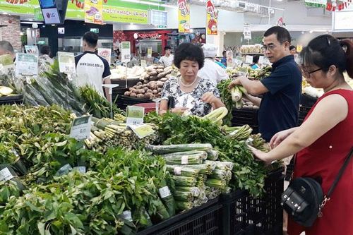 Hạn chế sử dụng túi nilon: Cần sự chung tay của cả cộng đồng