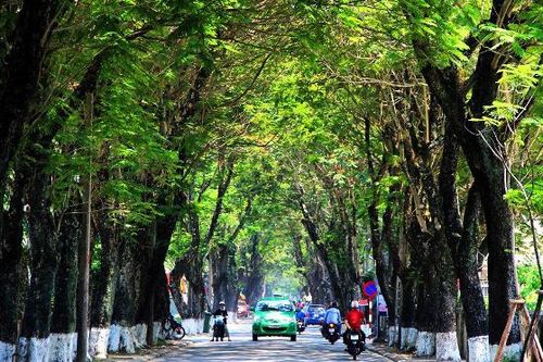 Nỗ lực vì thành phố xanh quốc gia