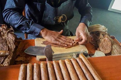 200 bước thao tác thủ công để tạo ra một điếu cigar Cuba
