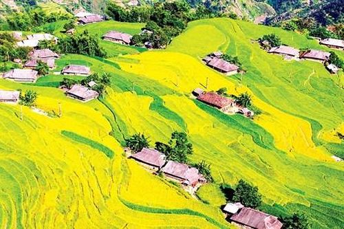 Duyên dáng 'Nàng Phì'