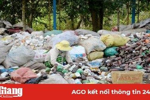 Thu gom, xử lý bao gói thuốc bảo vệ thực vật sau sử dụng