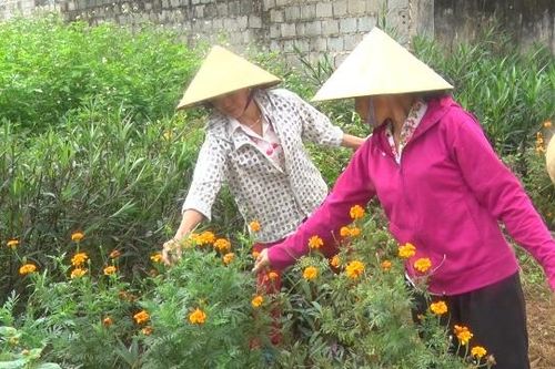 Tín hiệu vui từ một phong trào