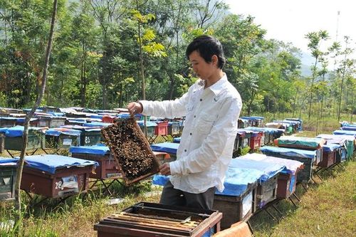 Hội Nông dân Việt Nam tham gia phát triển kinh tế - xã hội vùng DTTS và MN