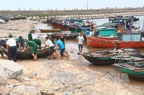 Quảng Ninh - Nam Định cấp tập ứng phó bão số 2