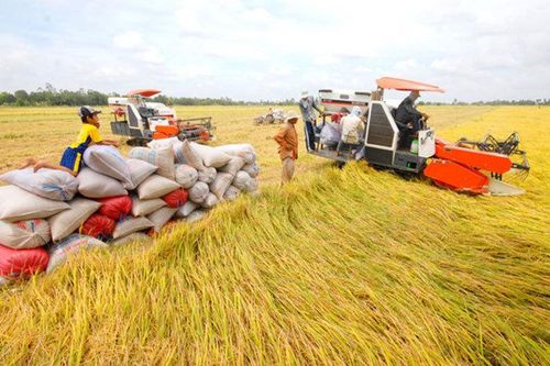 Tình huống hiếm gặp, thế mạnh Việt khó khăn chưa từng có