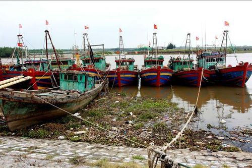 Thái Bình nghiêm cấm tàu, thuyền ra khơi từ sáng 3/7