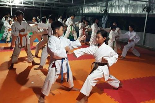 Sáng nay (3/7), khai mạc Giải vô địch và trẻ Karate tỉnh năm 2019
