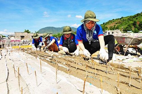 Ngày 20 đến 30-7: Cao điểm Chiến dịch Mùa hè xanh 2019
