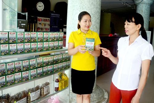 Sản xuất trà thảo dược từ cây xạ đen