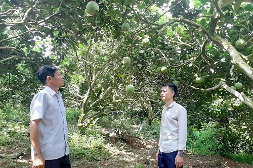 Giải thể chi bộ cơ quan xã, phường, thị trấn: Nâng cao năng lực lãnh đạo của chi bộ dưới cơ sở