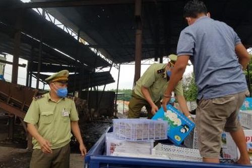 Thu giữ hơn 1 tấn trái cây nhập lậu tại Bình Phước