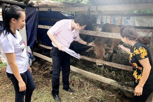 Về xã không có nợ quá hạn