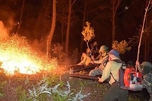 Những người lính quả cảm cứu rừng