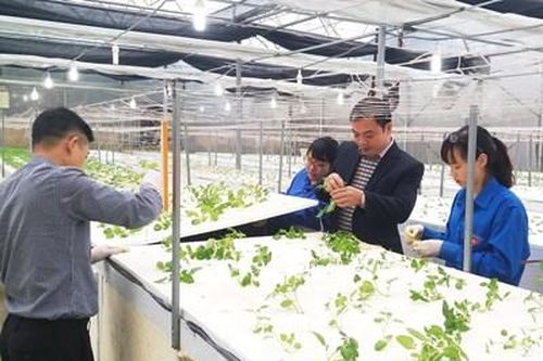 Tạo đà phát triển kinh tế - xã hội từ khoa học, công nghệ