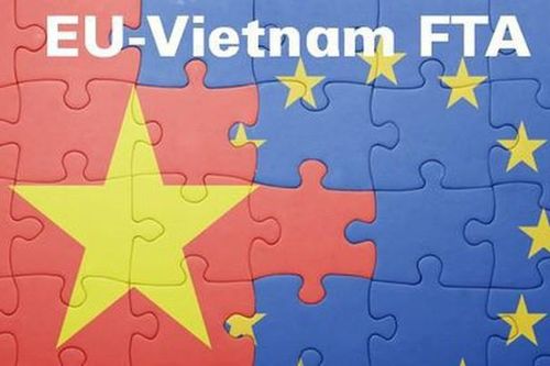 Ngẫm về chuyện 'Vượt Vũ môn' EVFTA, EVIPA của Việt Nam