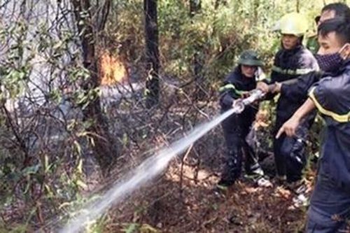 Quân và dân Hà Tĩnh: Trái tim hướng phía rừng đau