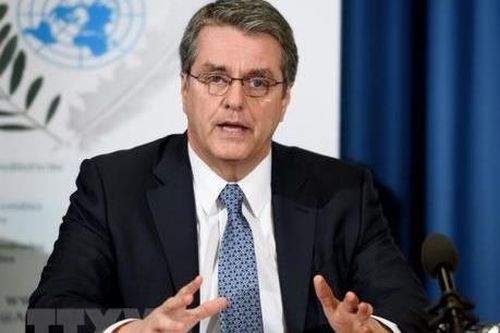 WTO: Thương mại phải góp phần thực hiện mục tiêu phát triển bền vững