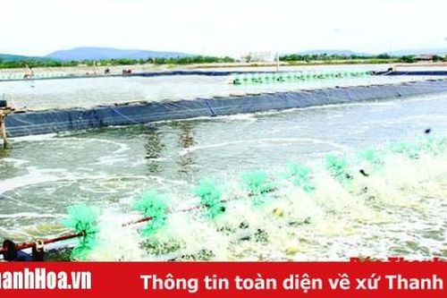 Bảo vệ nuôi trồng thủy sản mùa nắng nóng