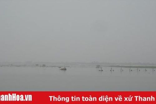 Công điện báo động lũ trên sông Yên