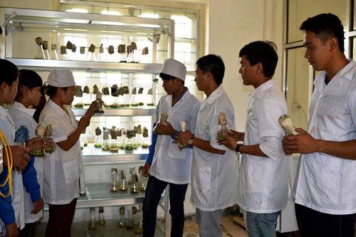 Gọn đầu mối, nâng chất lượng đào tạo