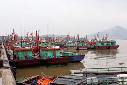 Kêu gọi gần 4.000 tàu cá vào bờ trú ẩn an toàn