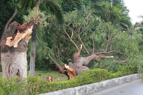 Bão số 2 đổ bộ sớm so với dự báo vài giờ