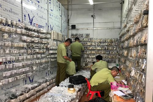 Liên tục bắt giữ các vụ buôn bán hàng lậu, hàng nhái số lượng lớn