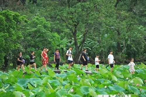 Việt Nam nằm trong top 5 địa điểm du lịch yêu thích của người Nhật Bản