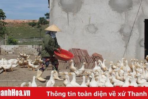 Huyện Nông Cống: 97 hộ dân thực hiện chuyển đổi con nuôi