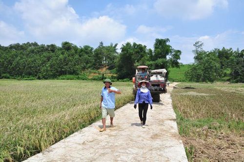Chi bộ thôn Khánh An lãnh đạo xây dựng hạ tầng nông thôn