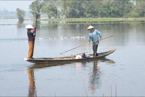 Kinh tế Khoa học - công nghệ 'Răn đe' nạn đánh bắt thủy sản bằng xung điện