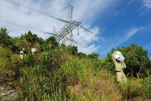 Phòng chống cháy rừng đảm bảo an toàn đường dây Bắc Nam
