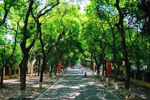 Những khoảng xanh hạ nhiệt giữa mùa hè Hà Nội