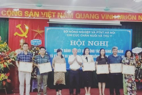 Hà Nội: Số lợn mắc dịch tả châu Phi thuyên giảm dần