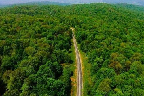 Rừng cổ Hyrcanian của Iran trở thành di sản thế giới