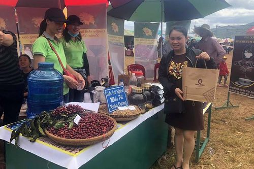Nâng tầm hạt cà phê