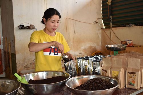 Nguyễn Thị Vân Thuận: Thành công với cà phê rang củi