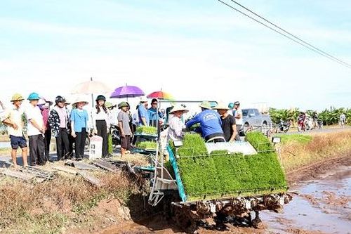 Hội nghị đầu bờ triển khai mô hình sản xuất lúa theo hướng hữu cơ tại xã Yên Nhân