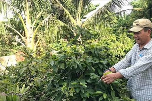 Chính trị - Xã hội Chính trị - Xã hội Lan tỏa phong trào 'Cựu chiến binh gương mẫu'