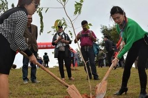 Trồng 1.000 cây mai anh đào trên đỉnh Langbiang