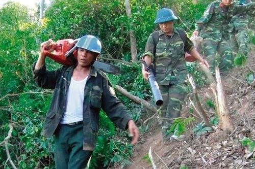 Vụ cháy lớn ở Hà Tĩnh: Những người dân xả thân cứu rừng
