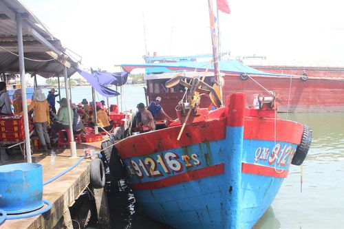 Quảng Nam: Ngư dân vẫn quyết tâm vươn khơi bám biển