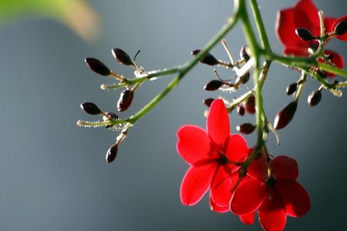 Tử vi ngày 8/7/2019: Tuổi Thìn tài lộc cực vượng, tuổi Ngọ mắc phải sai lầm