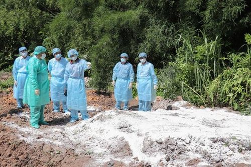 Tây Ninh phát hiện ổ dịch tả lợn châu Phi đầu tiên