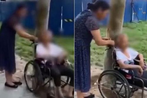 Trói cụ già ngồi xe lăn vào gốc cây, thái độ của người giúp việc còn trơ trẽn hơn khi bị phát hiện