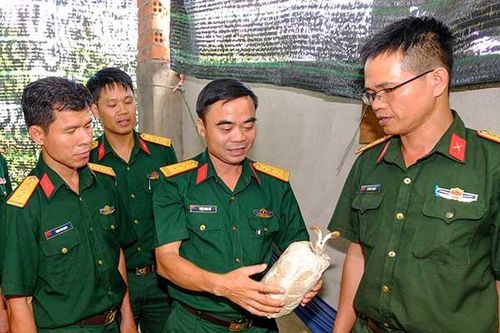 Trồng nấm cải thiện bữa ăn cho bộ đội