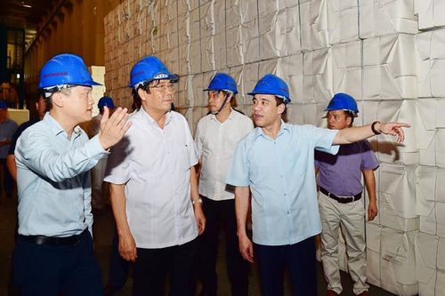 Đồng chí Phó Trưởng ban Thường trực Ban Tổ chức Trung ương Nguyễn Thanh Bình thăm và làm việc tại Công ty cổ phần Giấy An Hòa và Công ty cổ phần Woodsland Tuyên Quang