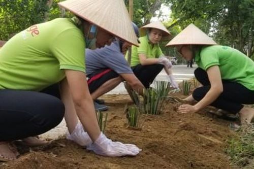Kinh tế Kinh tế Hơn 300 người dân phường Thủy Biều làm vệ sinh môi trường và trồng đường hoa