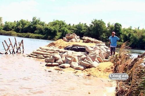 Người dân khổ sở với nạn xâm nhập mặn